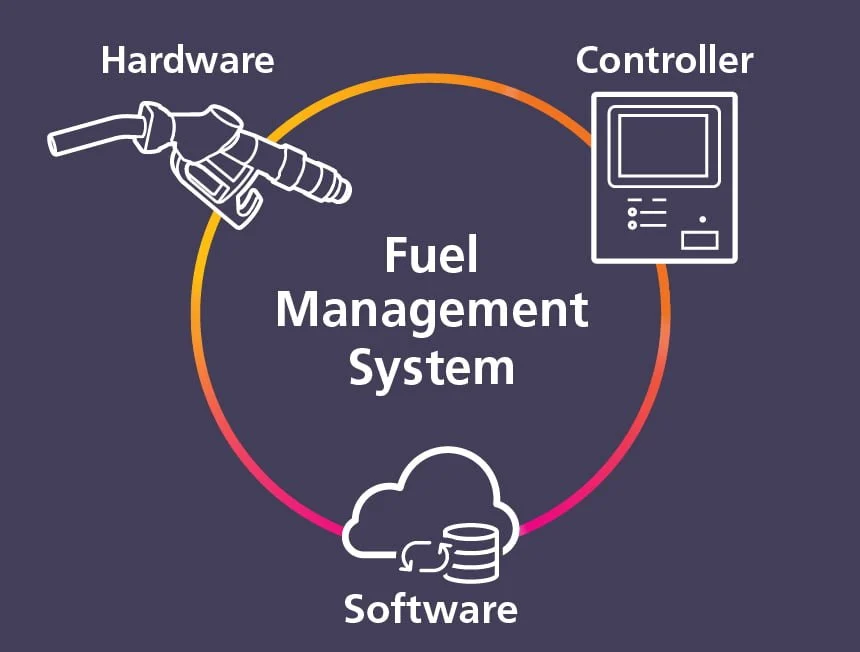 Data transformation and automation